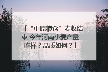 “中原粮仓”麦收结束 今年河南小麦产量咋样？品质如何？